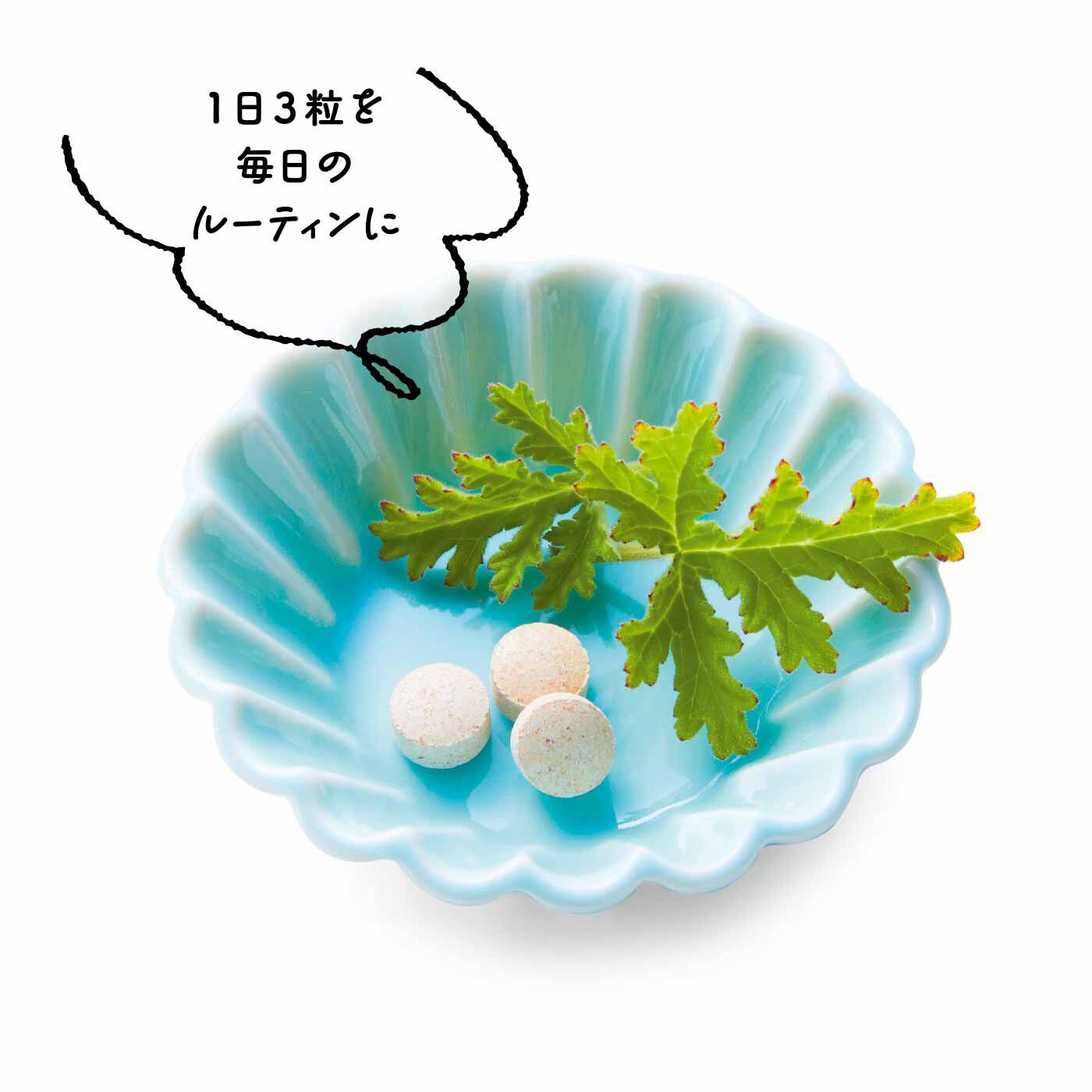 FELISSIMO PARTNERS|プロテオりっち 毎日の生活に気軽にプラス PGサプリメントの会