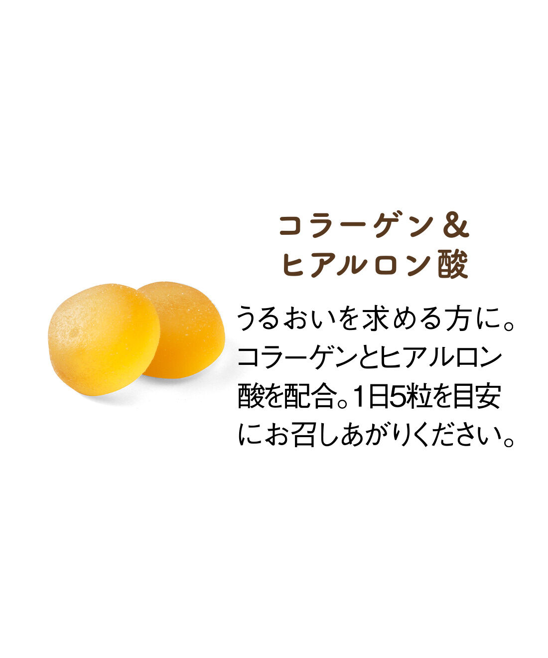 FELISSIMO PARTNERS|養命酒製造 美しい明日のためのおいしい30日の会（6回予約）