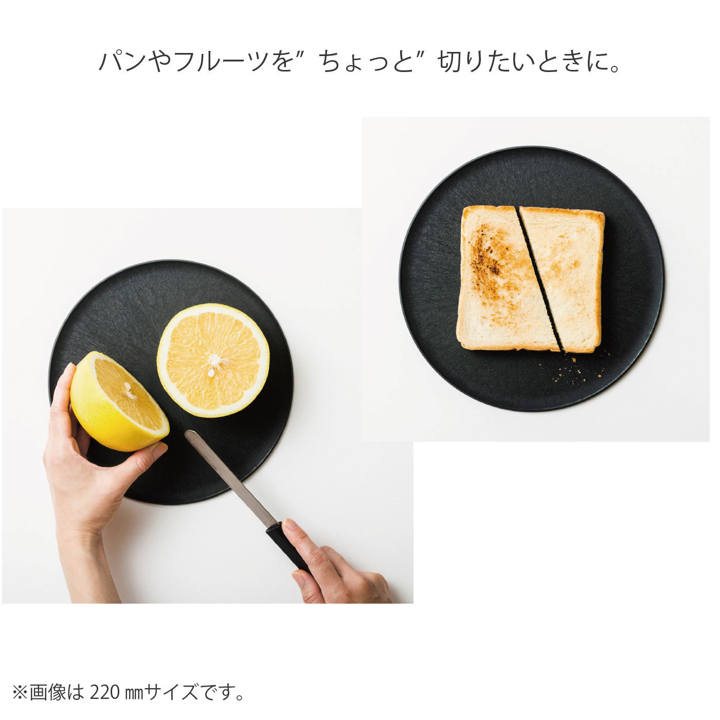 FELISSIMO PARTNERS|まな板になるお皿　CHOPLATE（チョップレート） 174mm