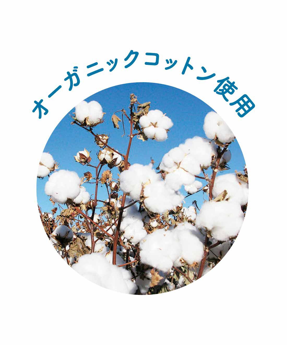 FELISSIMO PARTNERS|天衣無縫 オーガニックコットンの やわらか一分丈ショーツの会（4回予約）