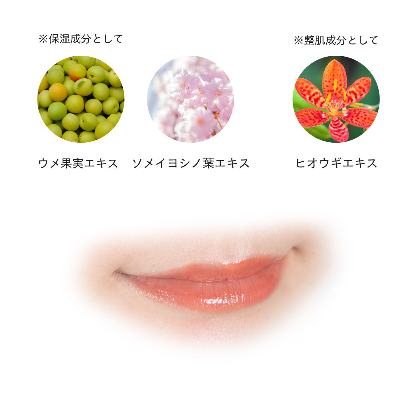 FELISSIMO PARTNERS|上羽絵惣　京の絵具屋の口紅　京花舞口紅|※画像はイメージです。