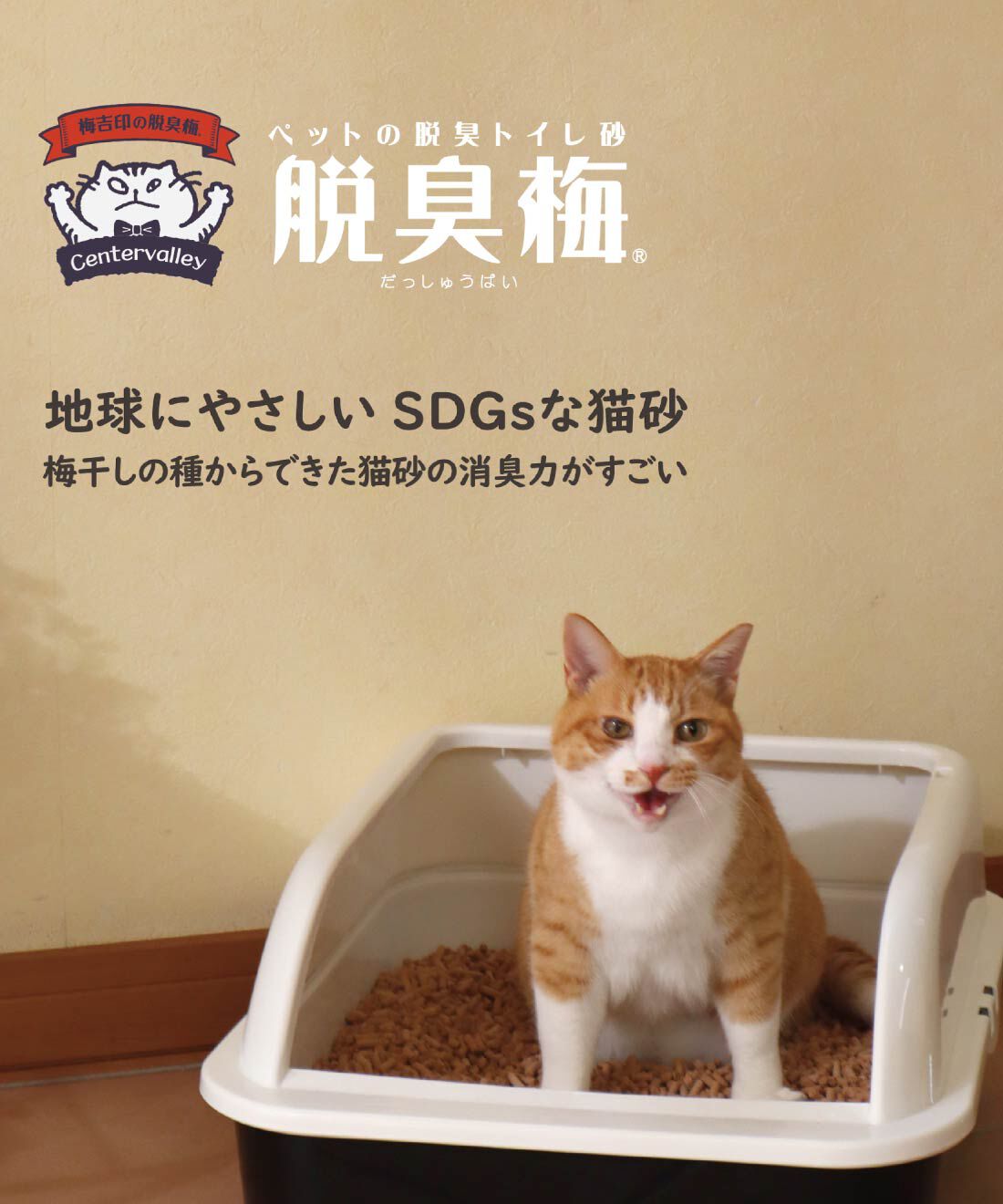FELISSIMO PARTNERS|梅の種からできた猫のトイレ砂「脱臭梅」３Ｌ