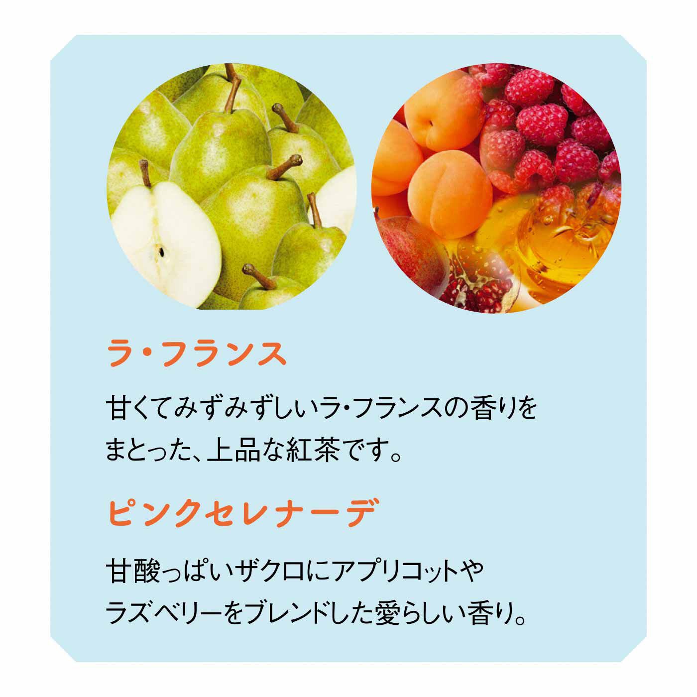 FELISSIMO PARTNERS|アムシュティー ティーブレンダー厳選 水出しで楽しむフレーバーティーの会（6回予約）