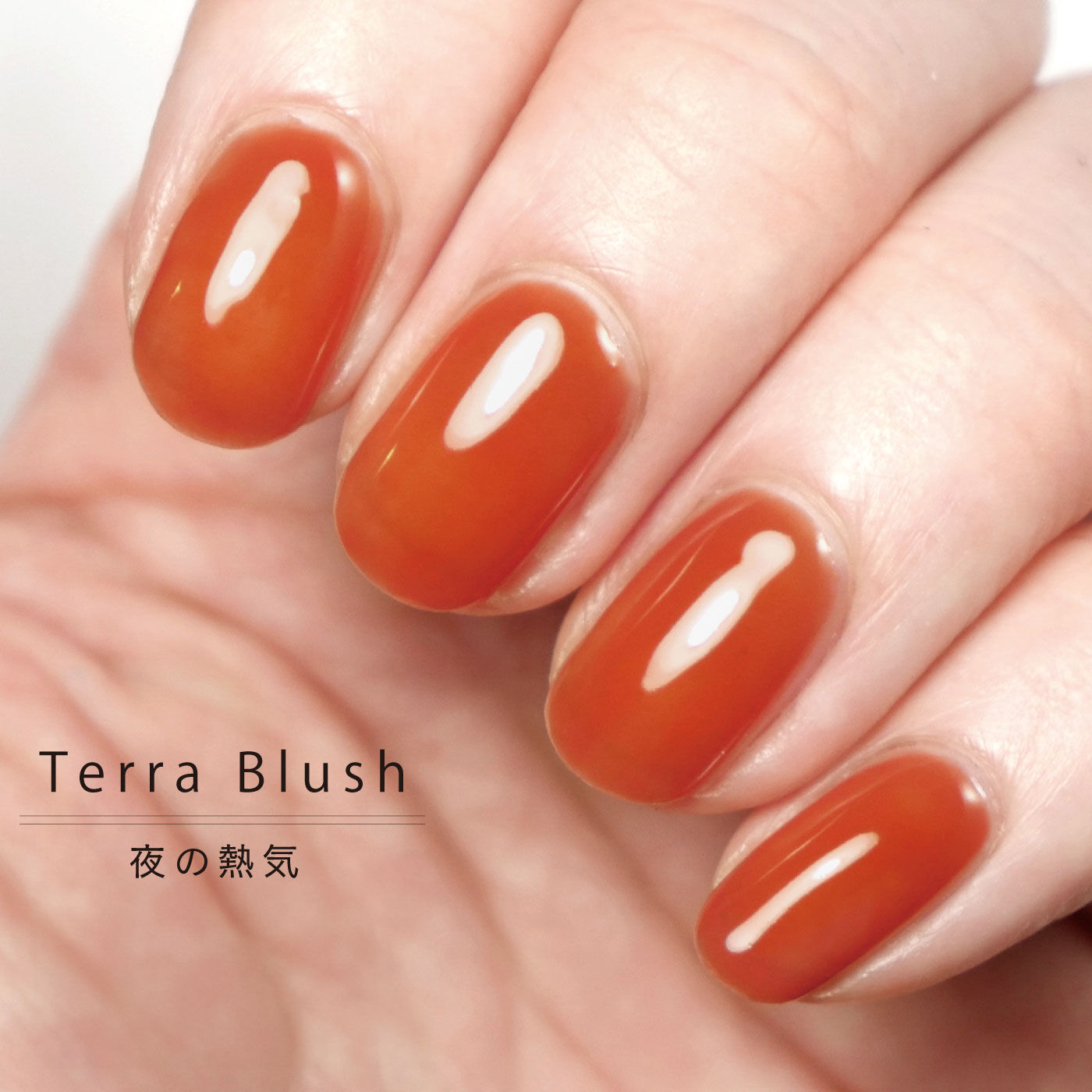 FELISSIMO PARTNERS|ＨＯＭＥＩ　ぺりっとはがせるウィークリージェル 「夜の熱気」Ｔｅｒｒａ　Ｂｌｕｓｈ〈テラブラッシュ〉