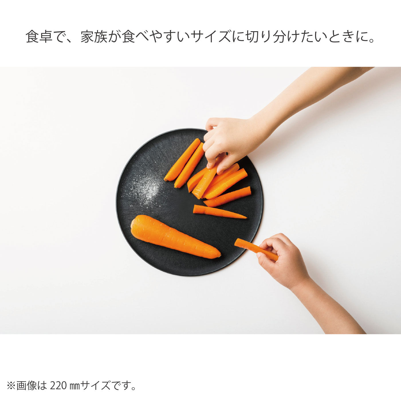FELISSIMO PARTNERS|まな板になるお皿　CHOPLATE（チョップレート） 174mm