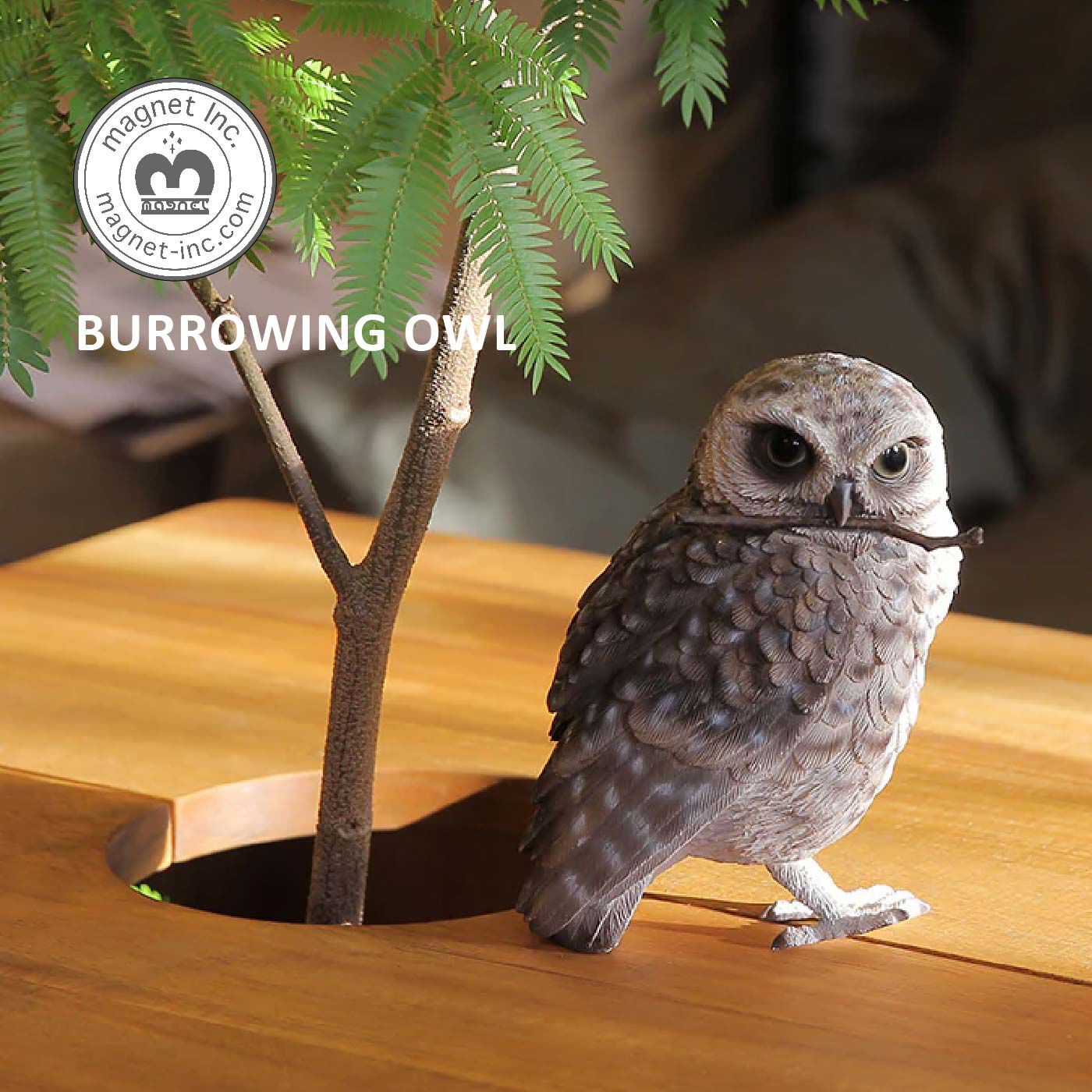 FELISSIMO PARTNERS|本物そっくりなメッセージバード〈アナホリフクロウ〉