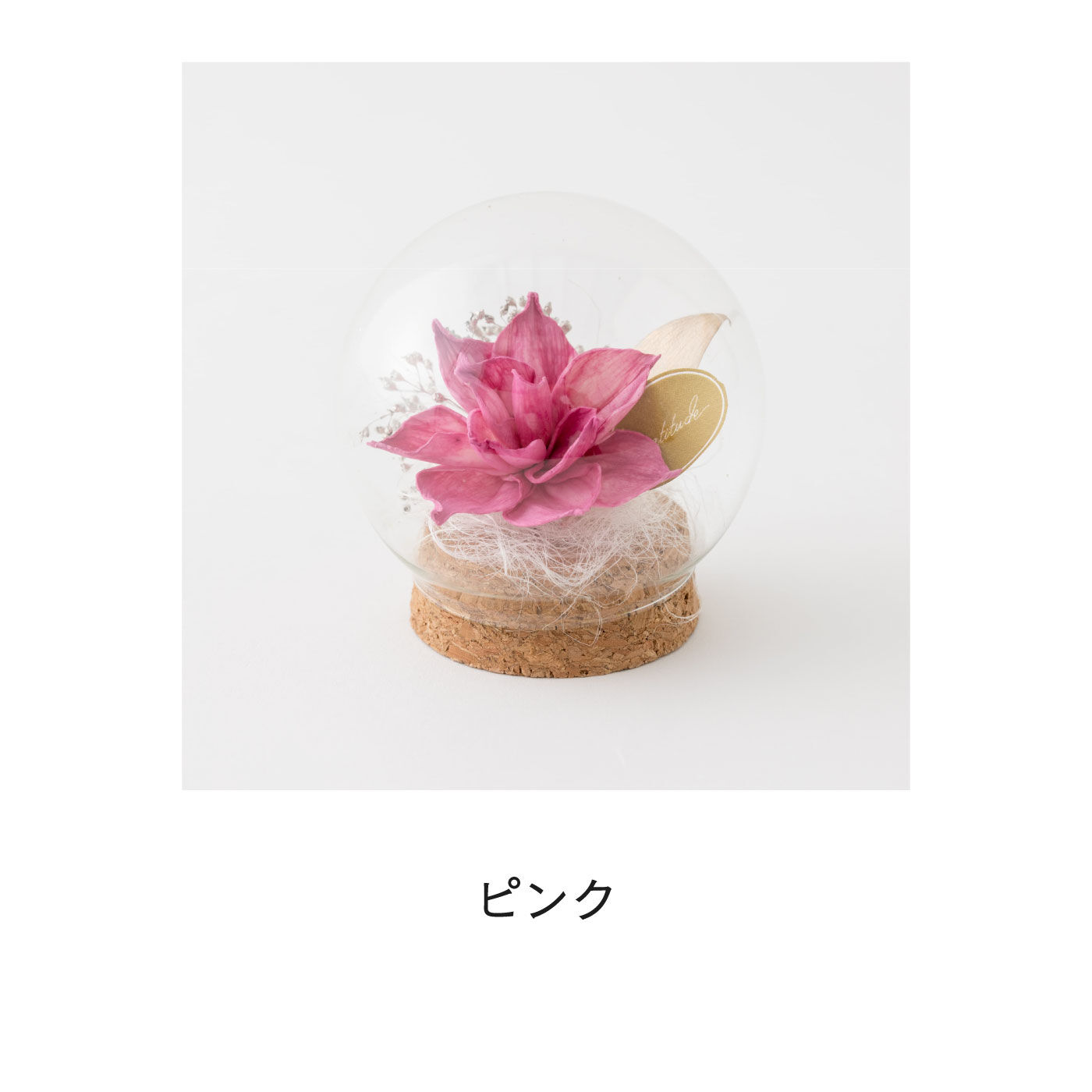 FELISSIMO PARTNERS|ガラスドームで可憐に咲く　ソラフラワーアレンジ