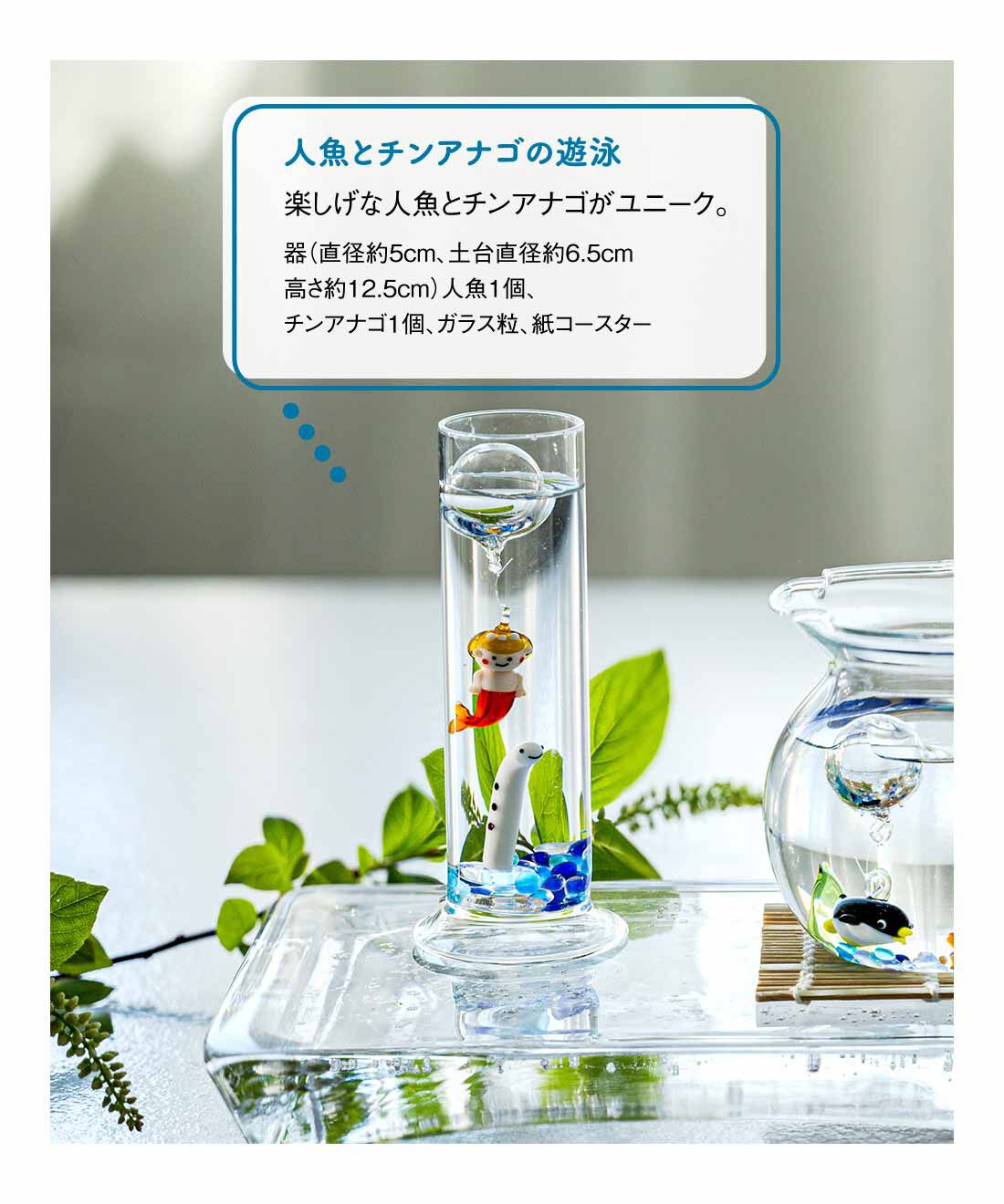 FELISSIMO PARTNERS|海の世界へ 涼しげなガラスのインテリアの会（4回予約）