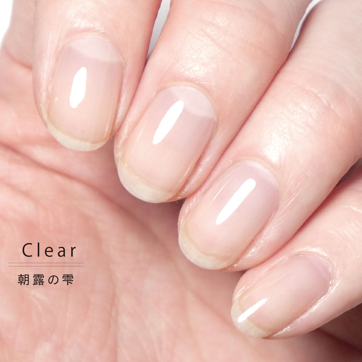 FELISSIMO PARTNERS|ＨＯＭＥＩ　ぺりっとはがせるウィークリージェル「朝露の雫」Ｃｌｅａｒ〈クリア〉