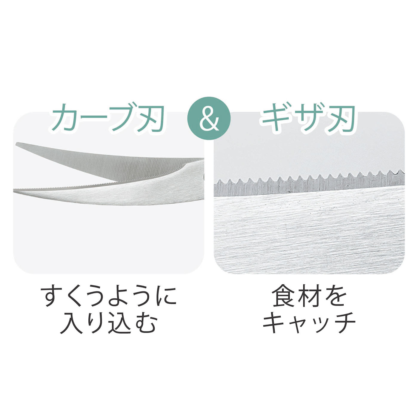 FELISSIMO PARTNERS|クセになる切れ味　グリンデイ　カーブ刃＆ギザ刃キッチンハサミ