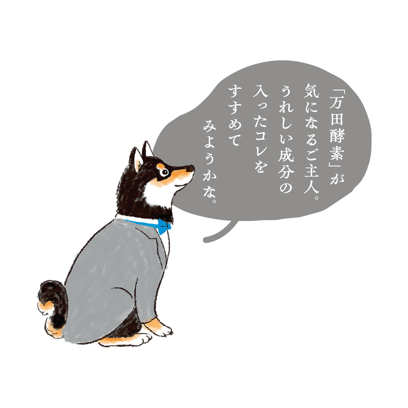 FELISSIMO PARTNERS|発酵のチカラがサポート おいしいキレイ習慣 万田酵素ビューティーゼリーの会（12回予約）