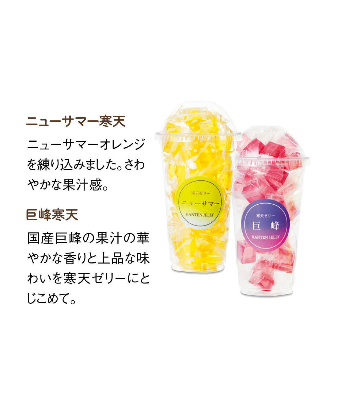 FELISSIMO PARTNERS|食べる宝石 寒天ゼリーの会（6回予約）