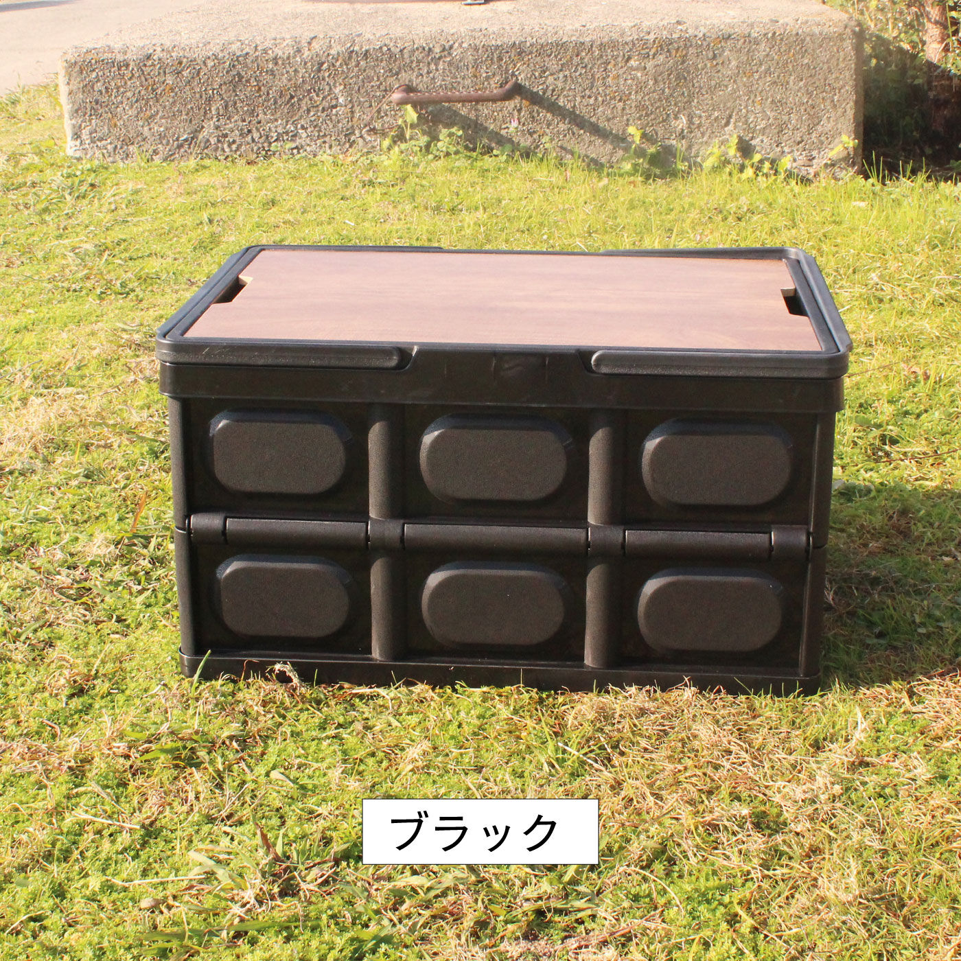 FELISSIMO PARTNERS|お買い物、収納、ピクニックなどに便利　おうちでも車でも使える　取っ手付き折りたたみできる収納トラックボックスＬサイズ〈ふた付き〉