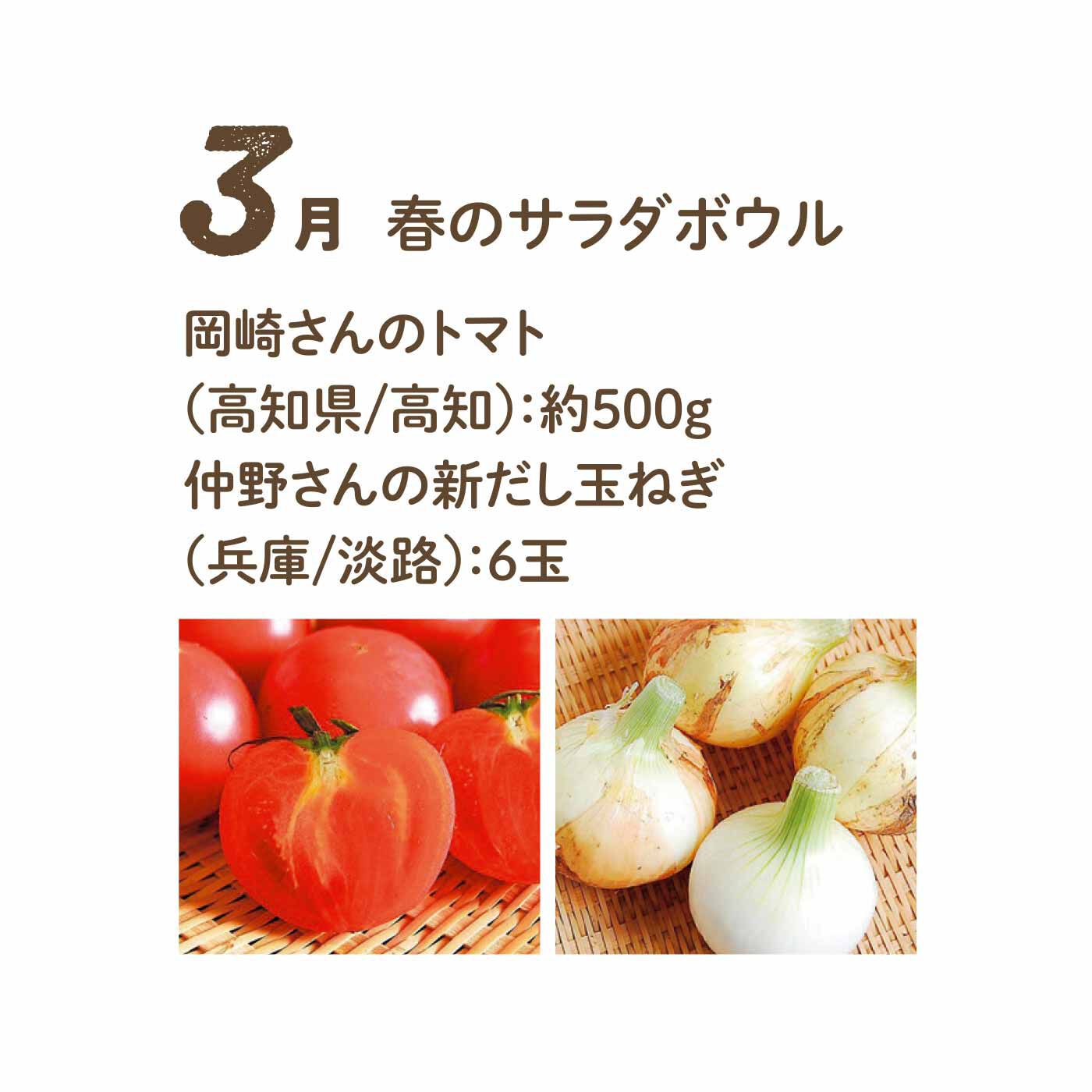 FP産地直送マルシェ|【予約限定・締切6月3日】野菜で彩る1年間！ 24種のごちそうフルーティー野菜12ヵ月コース|糖度の高いトマトと完熟たまねぎは、サラダでどうぞ。だしを土に混ぜて育てたたまねぎはうまみたっぷり。