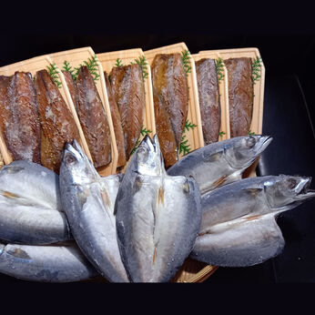 FP産地直送マルシェ | 魚義特製サバ開き６枚＆サバ味醂干１２枚干物セット