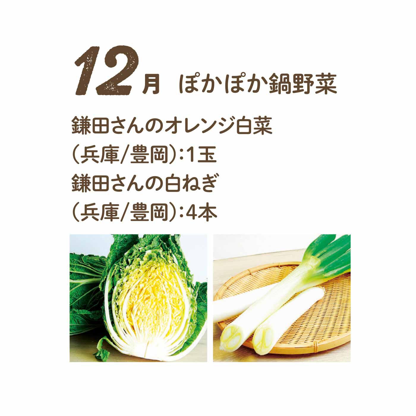 FP産地直送マルシェ|【予約限定・締切6月3日】野菜で彩る1年間！ 24種のごちそうフルーティー野菜12ヵ月コース|ほんのり色づいたオレンジ白菜＆太くてやわらかい白ネギ。お鍋の主役になってくれます。