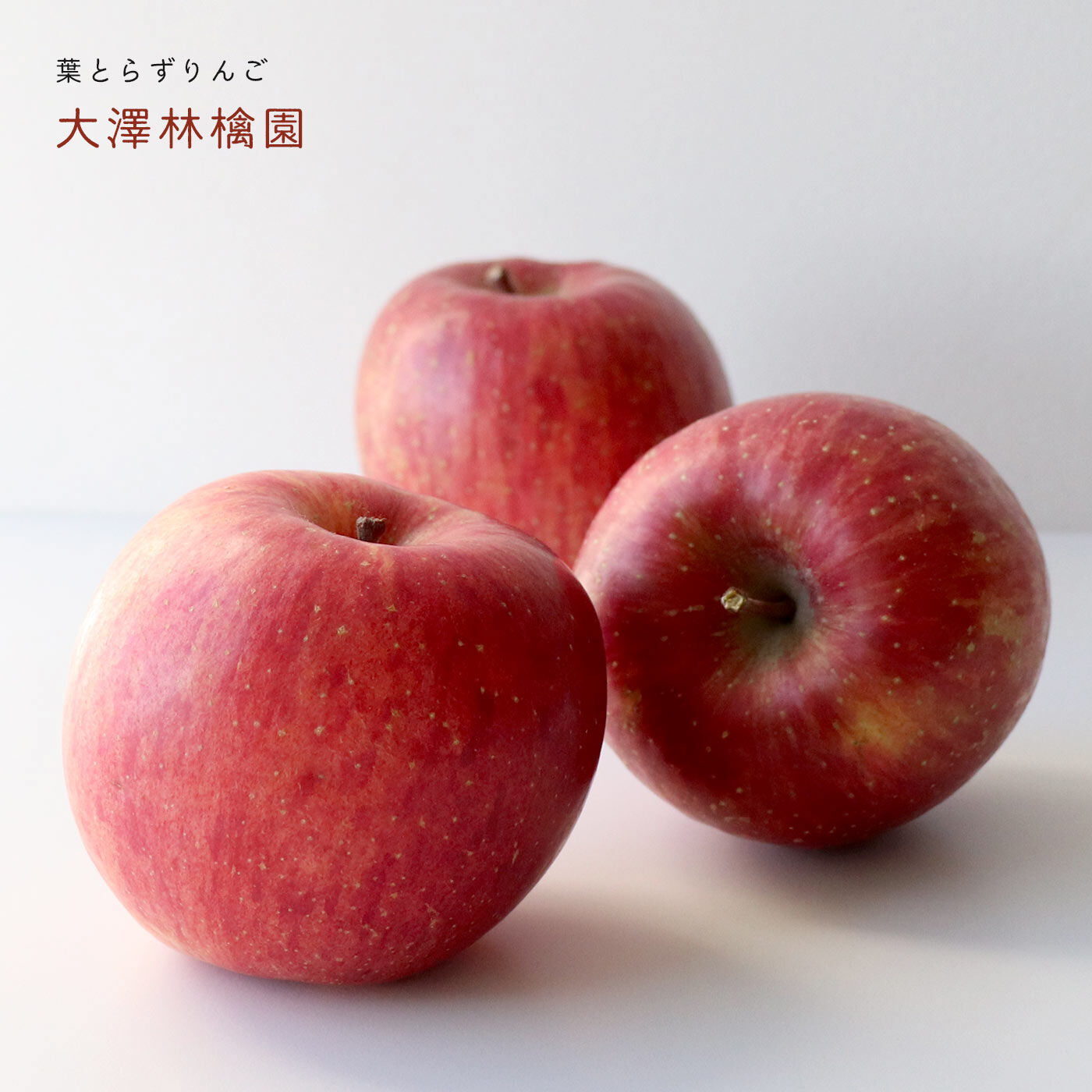 FP産地直送マルシェ|【予約限定・締切11月6日】「大澤林檎園」 樹上で完熟 葉とらずりんごサンふじ