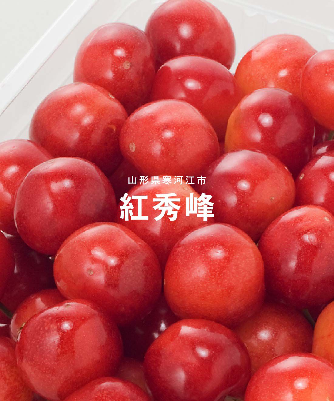 FP産地直送マルシェ|【予約限定・締切6月12日】山形・紅秀峰　旬の贅沢を楽しむ500g　1パック