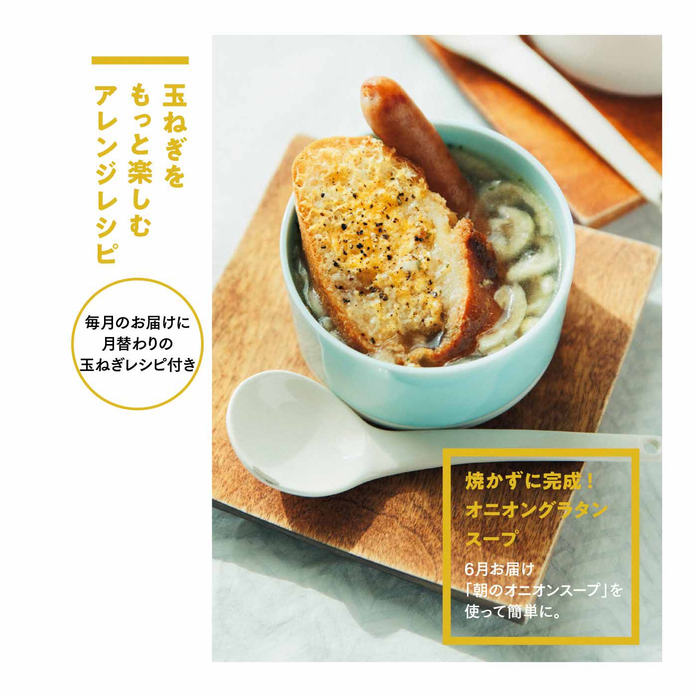FP産地直送マルシェ|【予約限定・締切6月8日】365日玉ねぎ生活！ 甘くてジューシーな淡路島フルーツ玉ねぎ（R）を存分に楽しむセット（12ヵ月コース）