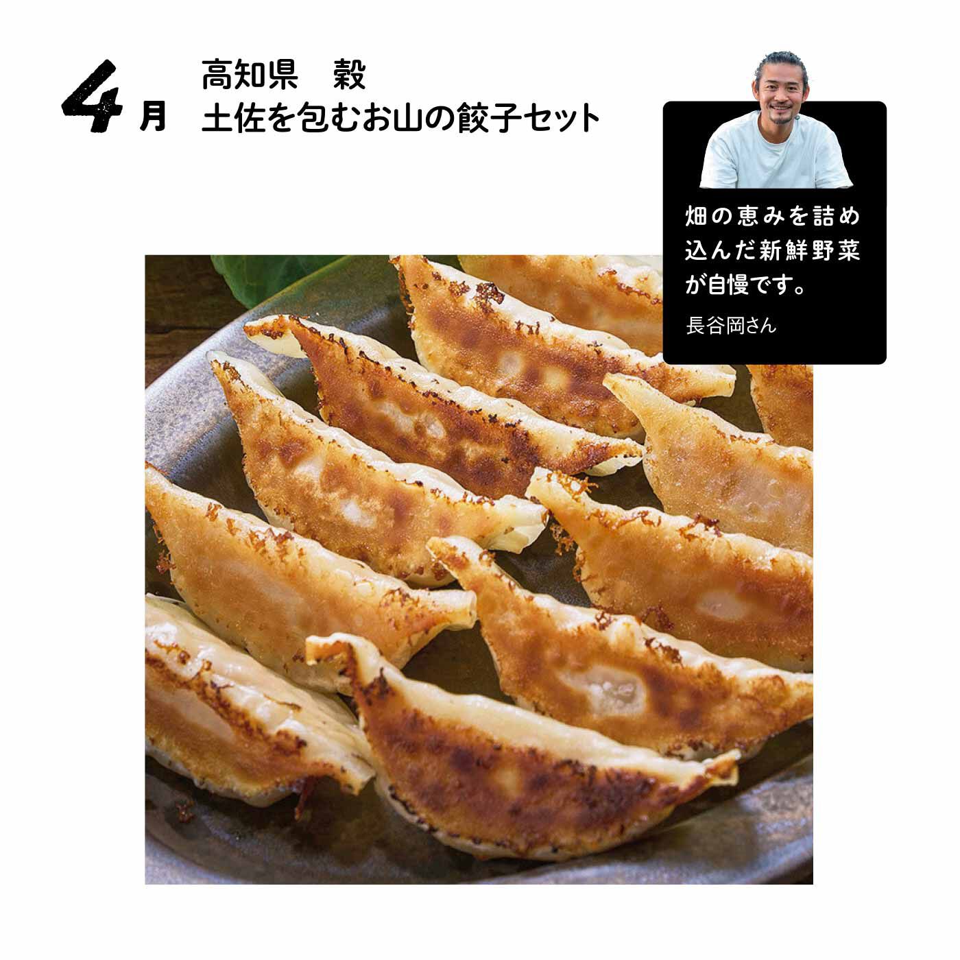FP産地直送マルシェ|【予約限定・締切7月6日】王道も個性派も大集合！ 全国餃子食べ比べ12ヵ月コース