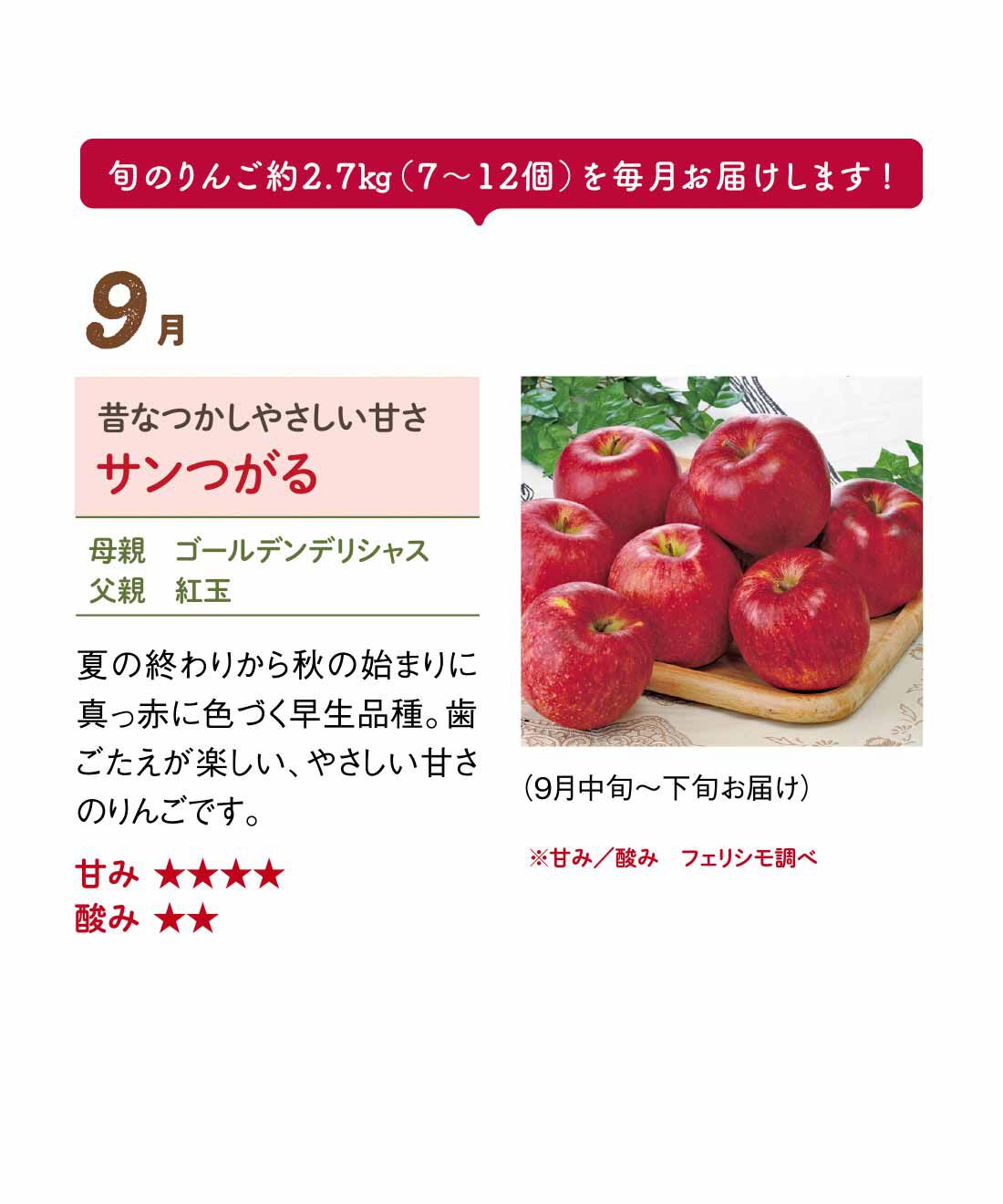 FP産地直送マルシェ|【予約限定・締切9月3日】青森県JA相馬村から届く★りんごSEVEN★7ヵ月コース