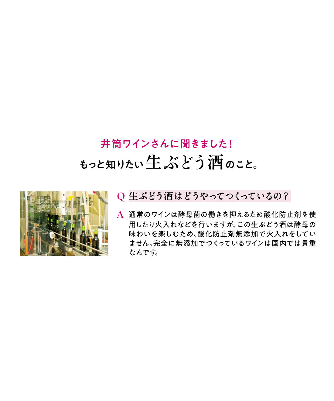 FP産地直送マルシェ|【予約限定・締切9月7日】井筒の生ワイン 赤 3本セット