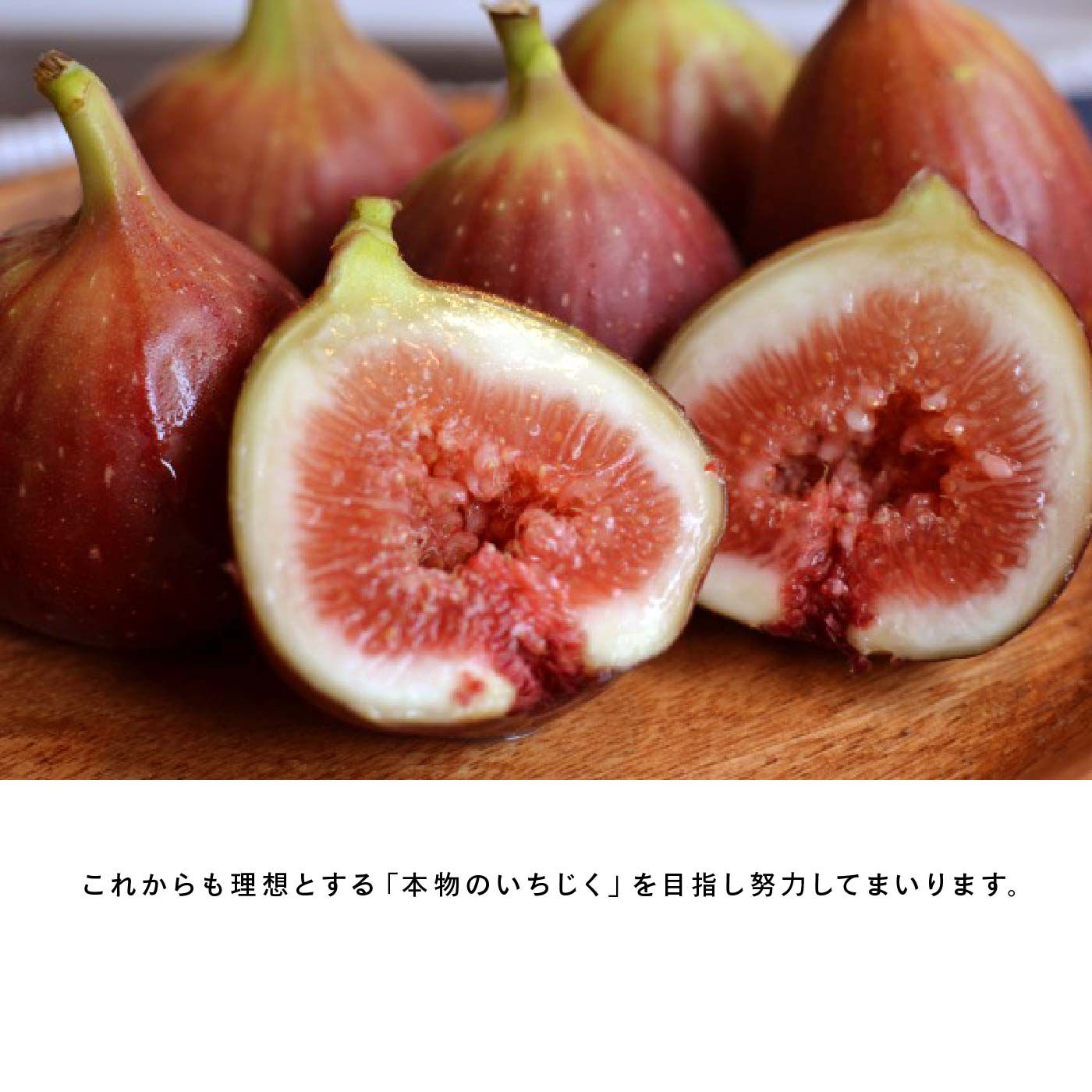 FP産地直送マルシェ|【数量限定100・締切8月7日】AOKI FARM ＆ DELI　樹上で完熟したいちじく