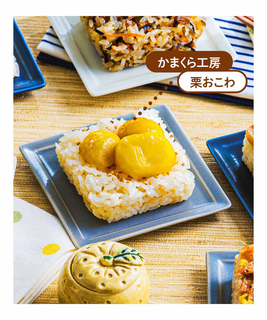 FP産地直送マルシェ|【予約限定・締切8月3日】簡単レンチン！ お手軽スクエアご飯を楽しむ9ヵ月コース