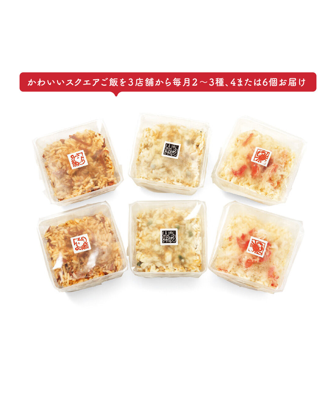 FP産地直送マルシェ|【予約限定・締切8月3日】簡単レンチン！ お手軽スクエアご飯を楽しむ9ヵ月コース|●1回のお届けセット例です。