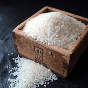 FP産地直送マルシェ | 特別栽培米　兵庫県産むすびの匠米５ＫＧ