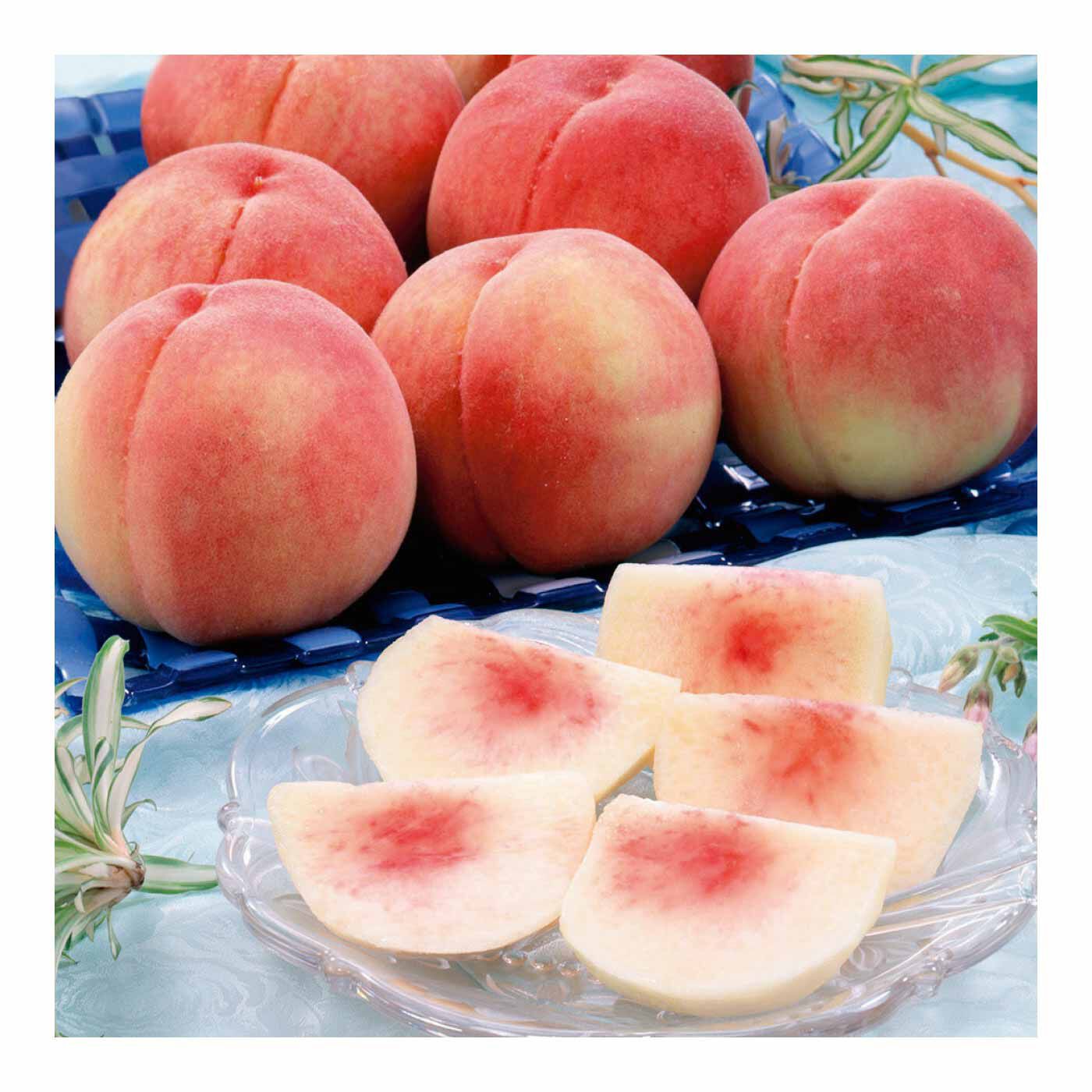 FP産地直送マルシェ|【予約限定・締切7月6日】日本三大ピーチ王国の桃をぜいたくに食べ比べ3ヵ月コース