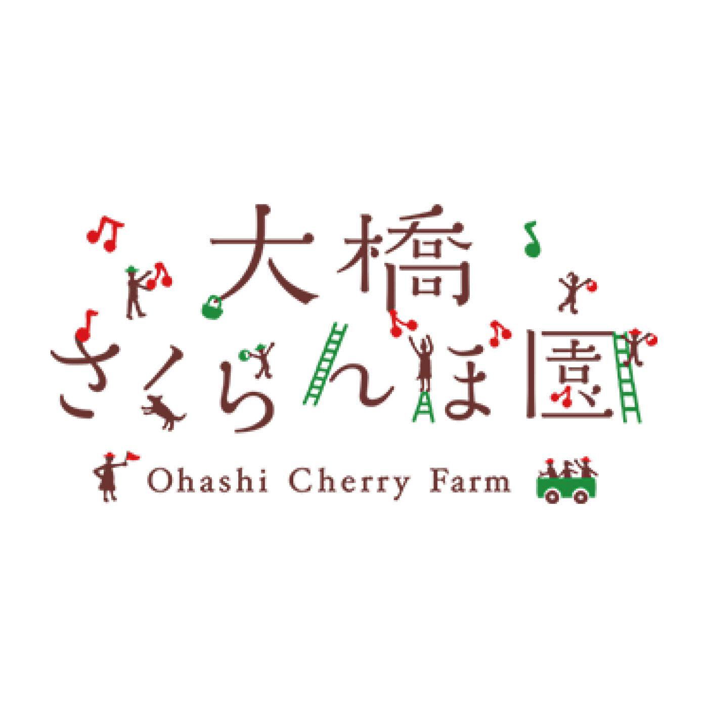 FP産地直送マルシェ|【予約限定・締切6月12日】さくらんぼ好きにはたまらない、北海道・大橋さくらんぼ園のさくらんぼチーズタルト
