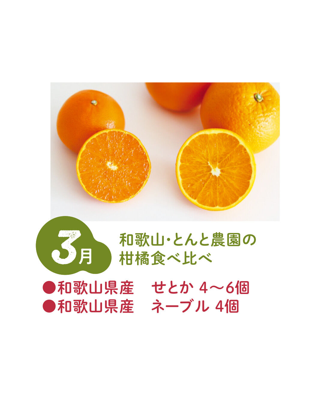 FP産地直送マルシェ|【予約限定・締切8月3日】ベストコンビをたっぷり食べ比べ！ 2種類の旬フルーツ12ヵ月コース|和歌山県で柑橘のこだわり栽培を行うとんと農園さんの柑橘を2種類食べ比べ。国産ネーブルのフレッシュな状態は貴重。（3月中旬〜下旬）