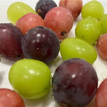 FP産地直送マルシェ | Farm おとらふ ぶどう3品種 食べ比べセット