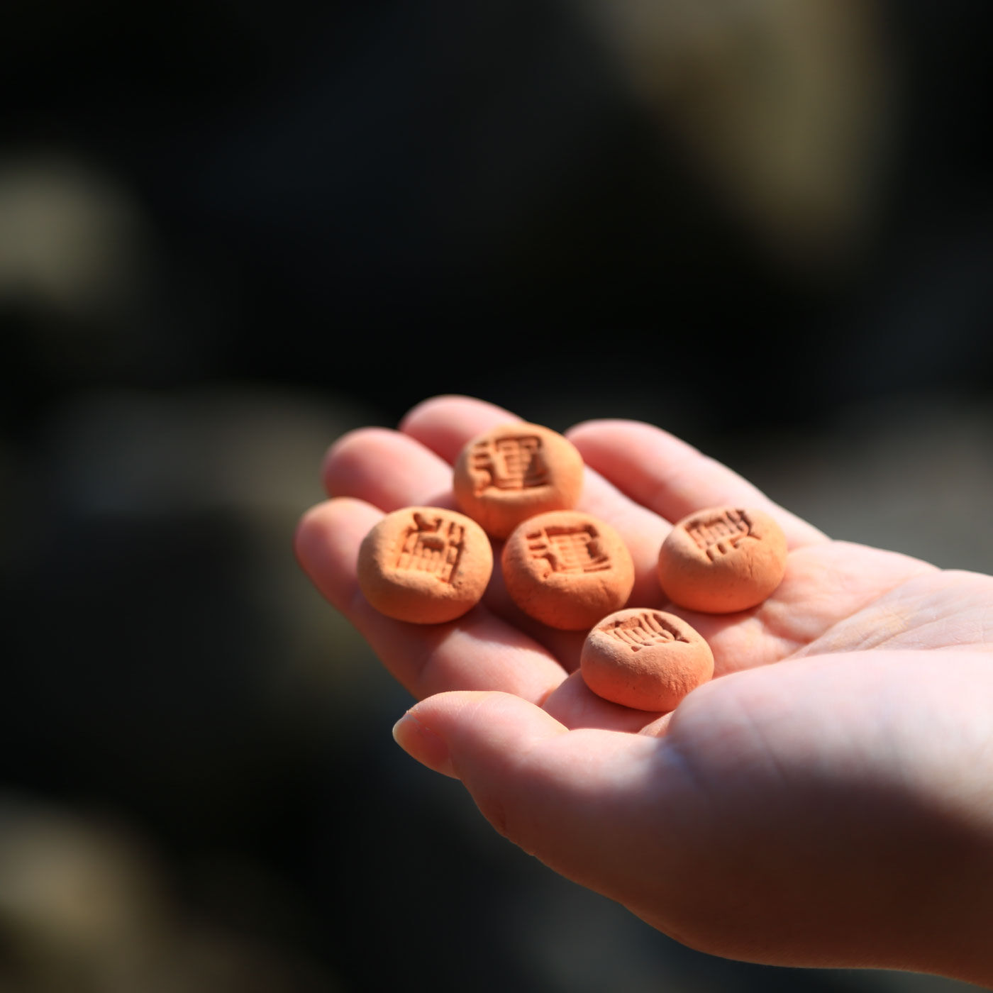 FP産地直送マルシェ|【数量限定50・締切11月20日】願いを込めていただく黄金色の宝もなか　運つつみギフトセット