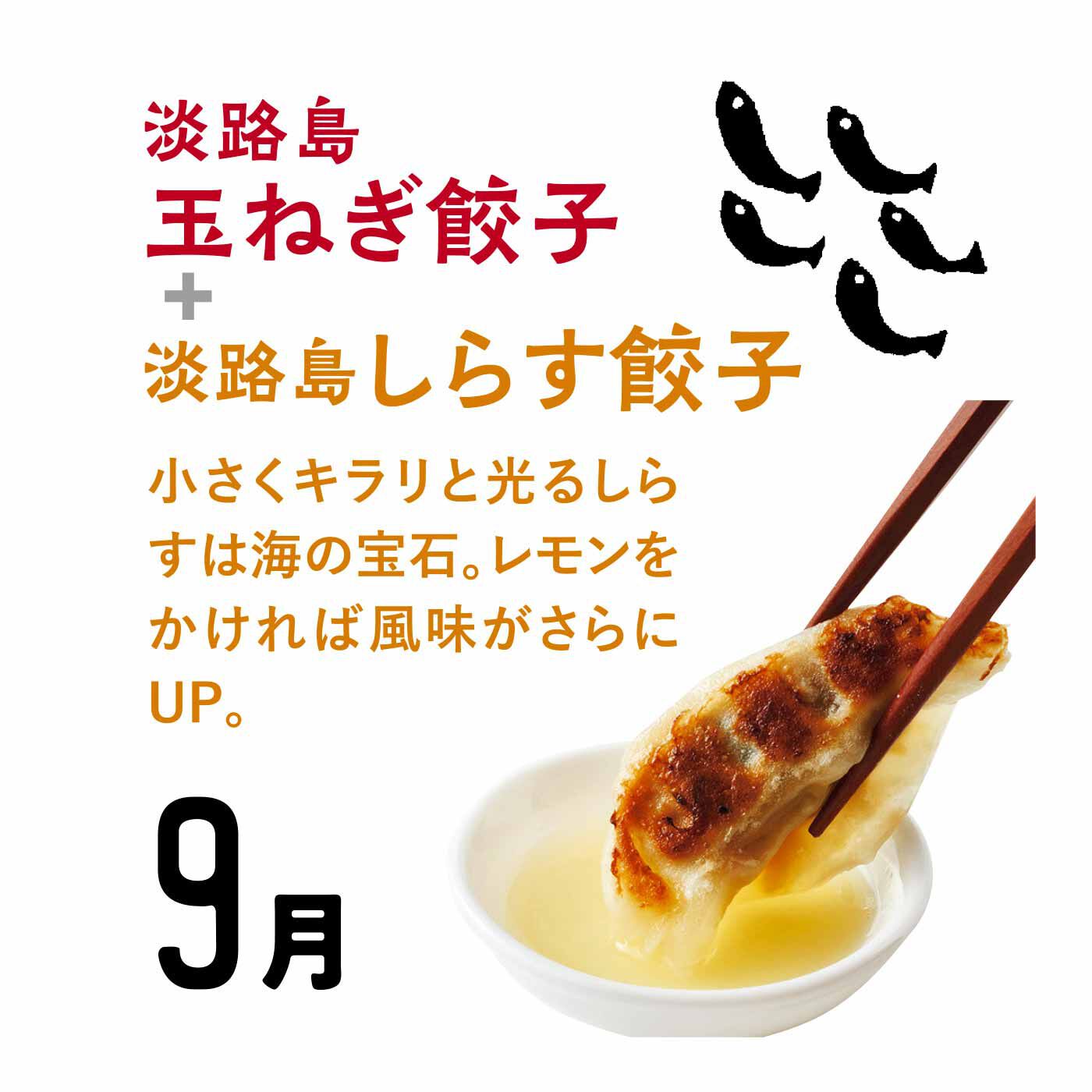 FP産地直送マルシェ|【予約限定・締切6月8日】淡路島の海と大地の恵みをたっぷり包んだやさしいあわじ餃子セット（6ヵ月コース）