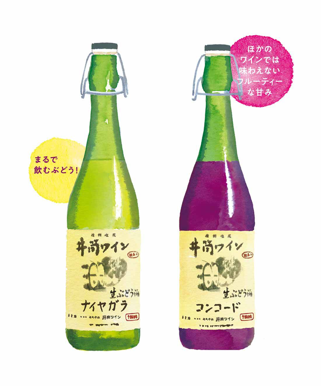 FP産地直送マルシェ|【予約限定・締切9月7日】井筒の生ワイン 赤・白 6本セット