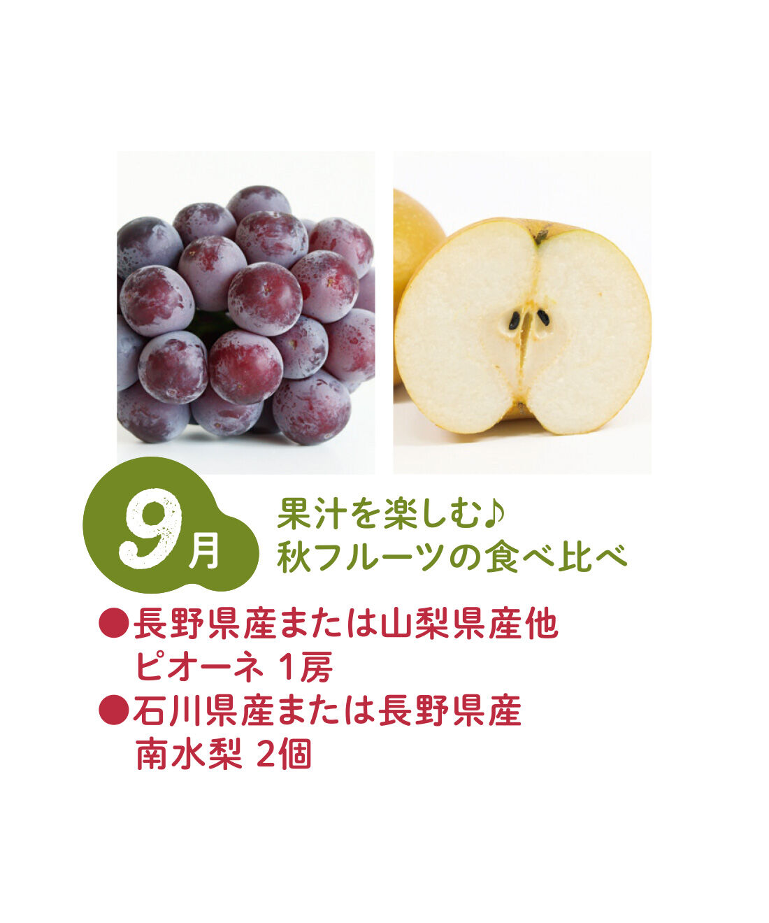 FP産地直送マルシェ|【予約限定・締切8月3日】ベストコンビをたっぷり食べ比べ！ 2種類の旬フルーツ12ヵ月コース|南水梨は糖度の高い梨として人気。ピオーネは粒が大きく口の中で濃厚な果汁が広がります。（9月中旬〜下旬）