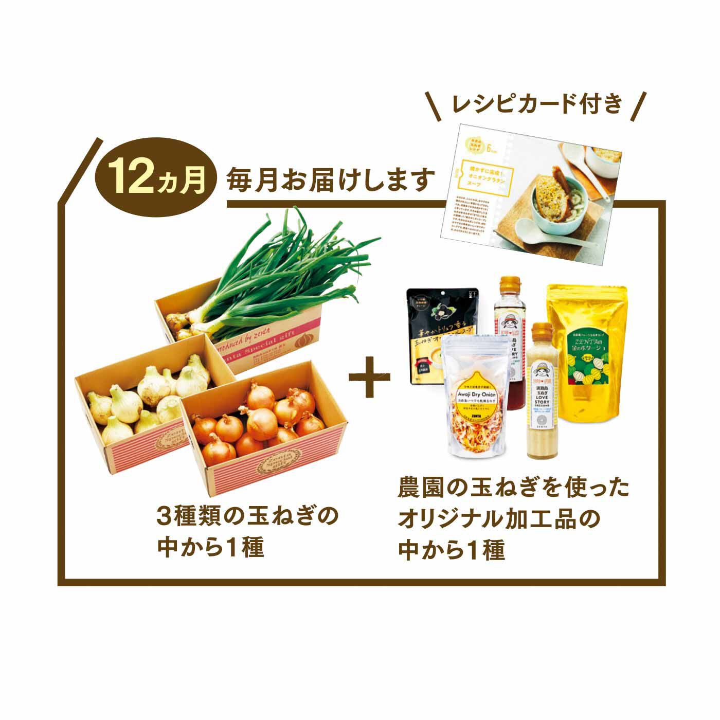 FP産地直送マルシェ|【予約限定・締切6月8日】365日玉ねぎ生活！ 甘くてジューシーな淡路島フルーツ玉ねぎ（R）を存分に楽しむセット（12ヵ月コース）