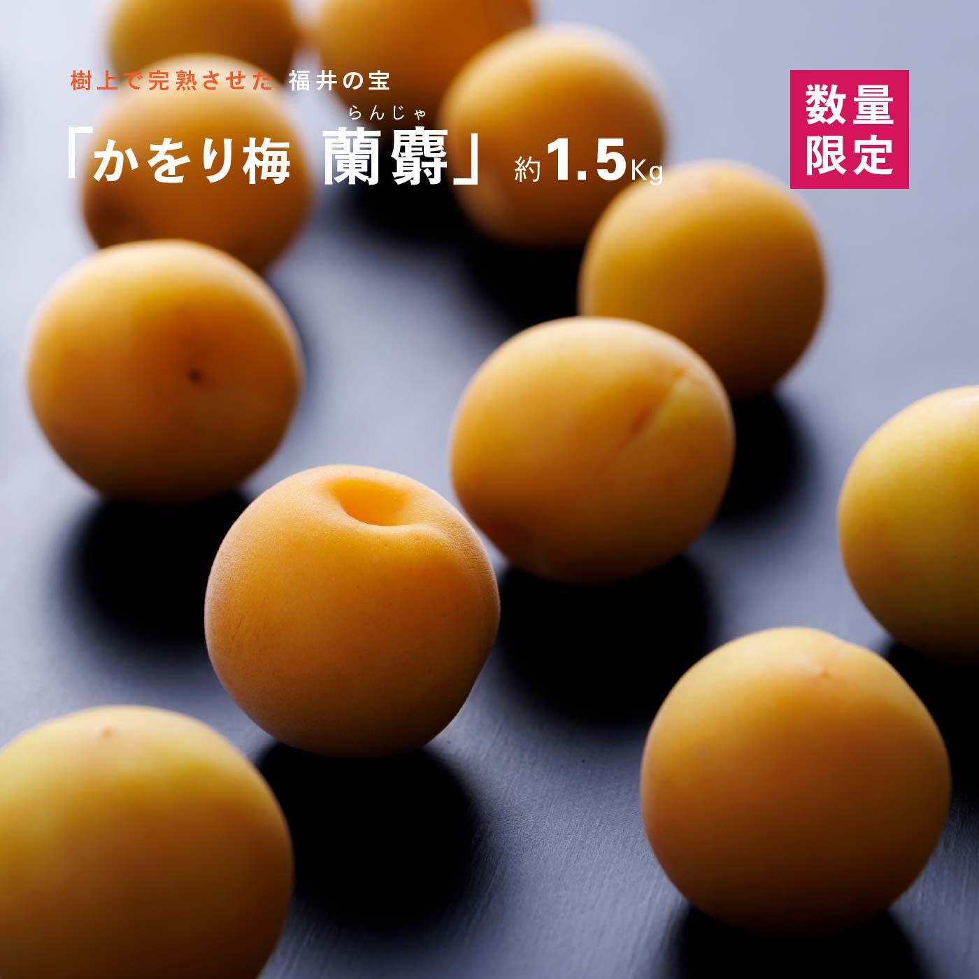 FP産地直送マルシェ|【予約限定・締切6月5日】福井県産 かをり梅 蘭麝（らんじゃ） 完熟1.5kg