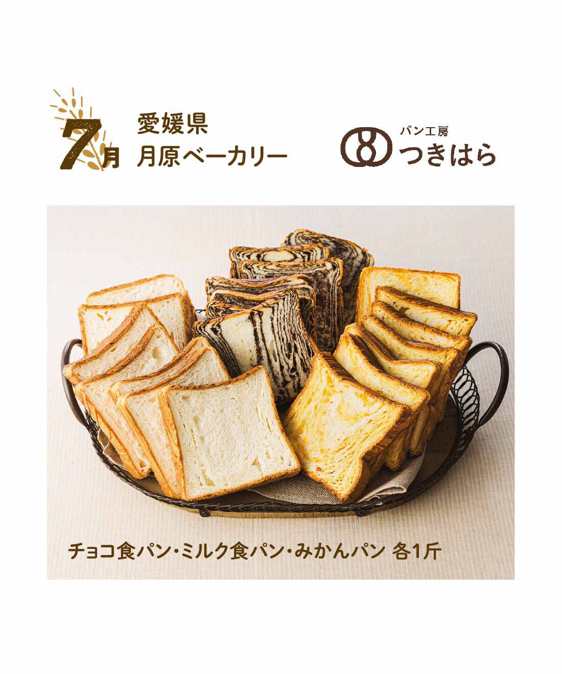 FP産地直送マルシェ|【予約限定・締切8月3日】朝起きるのが楽しみになる♪ 食パン食べ比べ12ヵ月コース|お子さまにも人気のチョコ食パン。軽く焼いて耳まで甘くておいしいミルク食パン。お店の看板商品のみかんパンは、愛媛の温州みかんを使った食パンです。