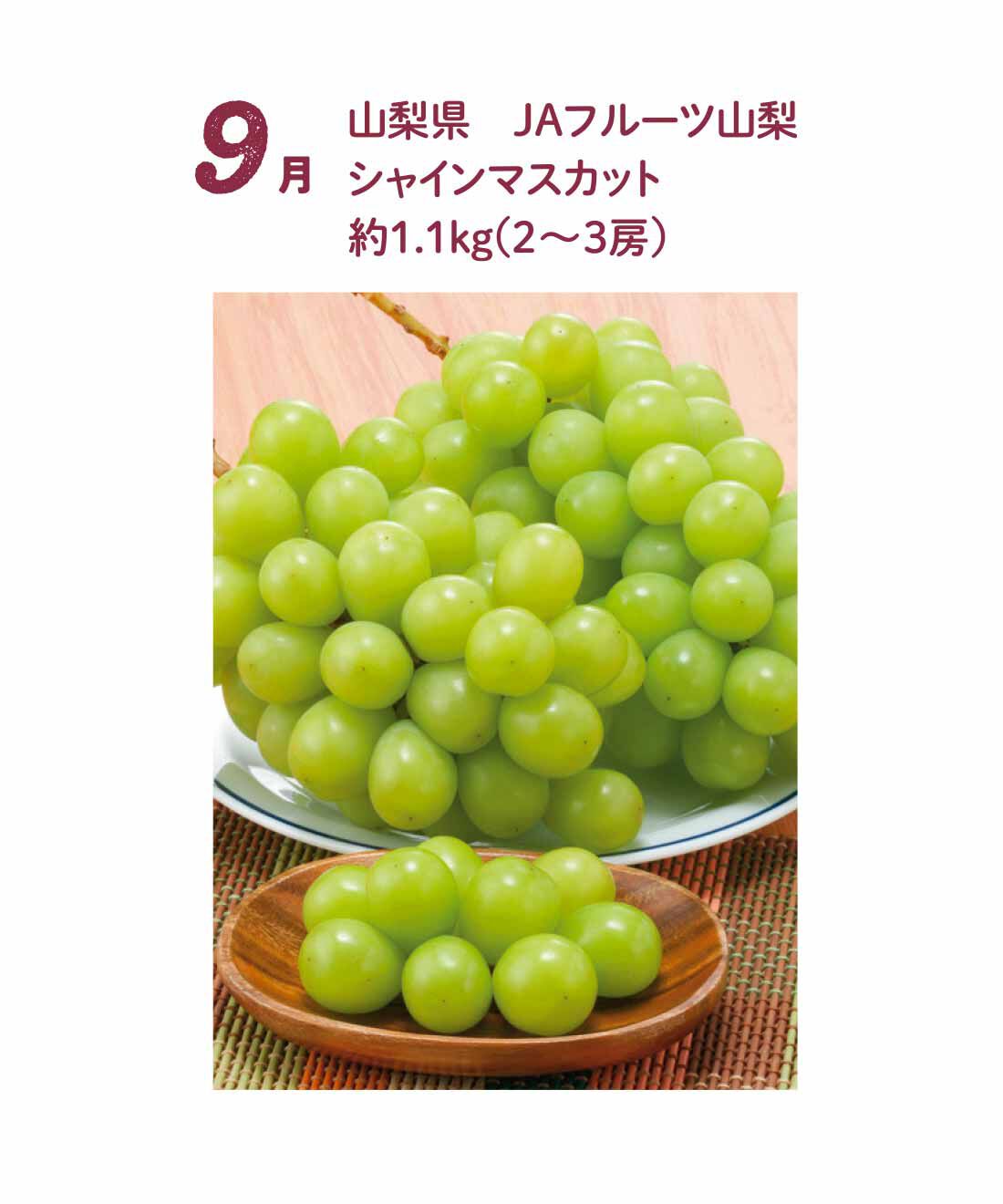 FP産地直送マルシェ|【予約限定・締切8月3日】食べごろシャインマスカットを味わいたくて♪ 産地でめぐる4ヵ月コース|ぶどうの生産量が日本一の山梨県では、多くの生産者さんが切磋琢磨しています。房の型がきれいになるように手間をかけて摘粒されたぶどうは、粒も丸くてきれいです。9月中旬〜下旬お届け