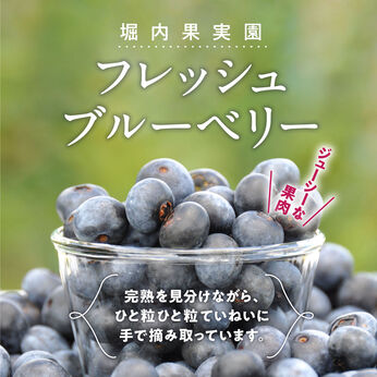 FP産地直送マルシェ | 【数量限定:100セット】フレッシュブルーベリー 90g×3パック 堀内果実園
