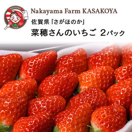 FP産地直送マルシェ | 佐賀県 菜穂さんのいちご 「さがほのか」 2パック