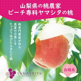 FP産地直送マルシェ | 山梨県 桃農家 ヤマシタの桃（白桃系） 約1.2kg