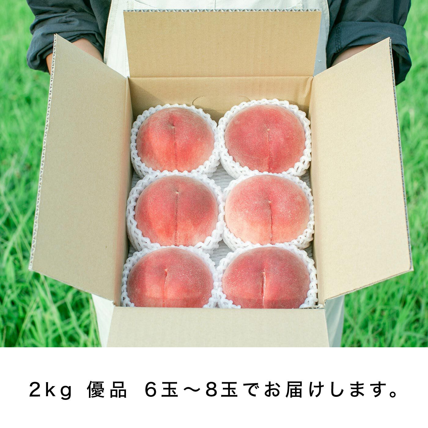 FP産地直送マルシェ|【予約限定・締切6月12日】ご家庭用 山梨県産樹上で完熟HOPE園の白鳳系桃　約2kg