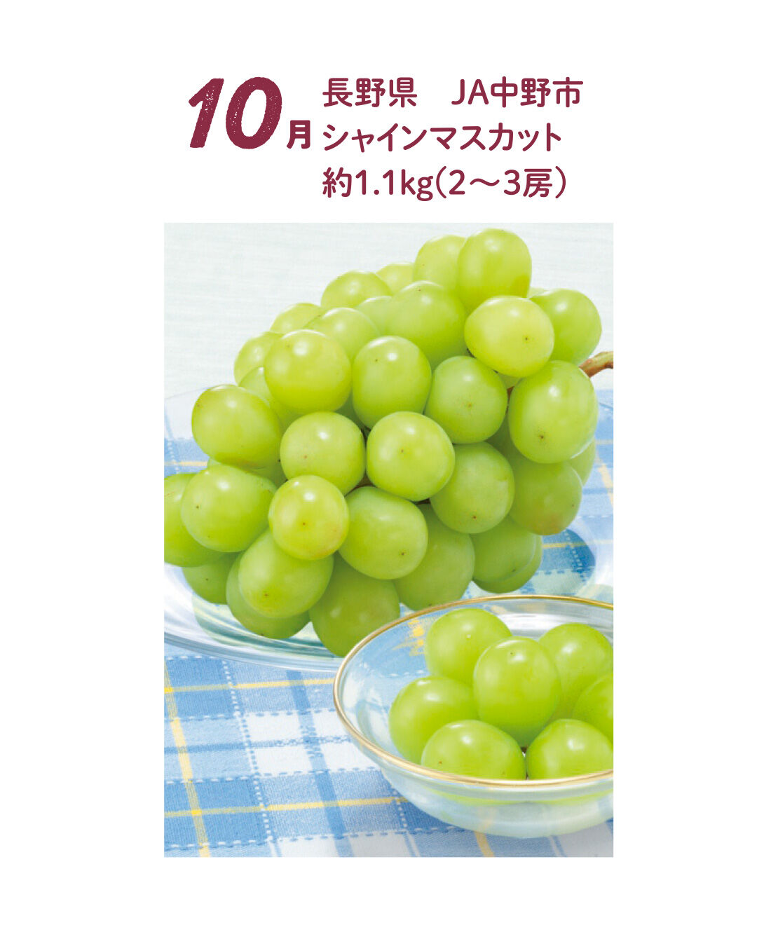 FP産地直送マルシェ|【予約限定・締切8月3日】食べごろシャインマスカットを味わいたくて♪ 産地でめぐる4ヵ月コース|日本でも有数のぶどうの産地である長野県中野市のJA中野市シャインマスカットは面積あたりの房数を制限し、養分が行き届くよう生産者、関係者一丸となって栽培。濃厚な味が生み出されます。10月中旬〜下旬お届け
