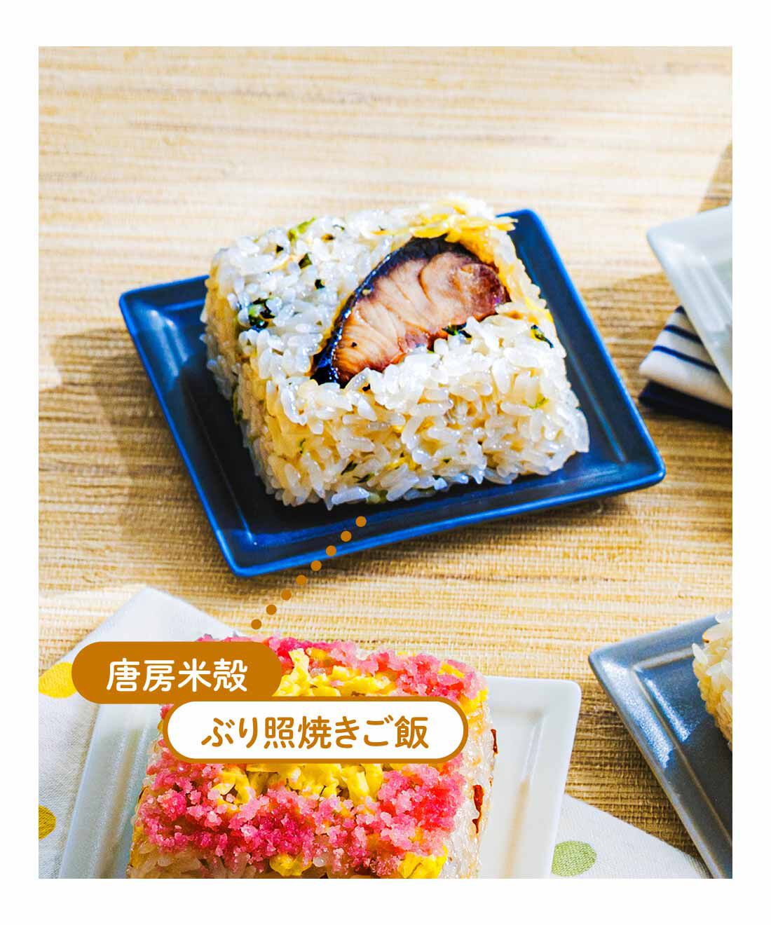 FP産地直送マルシェ|【予約限定・締切8月3日】簡単レンチン！ お手軽スクエアご飯を楽しむ9ヵ月コース