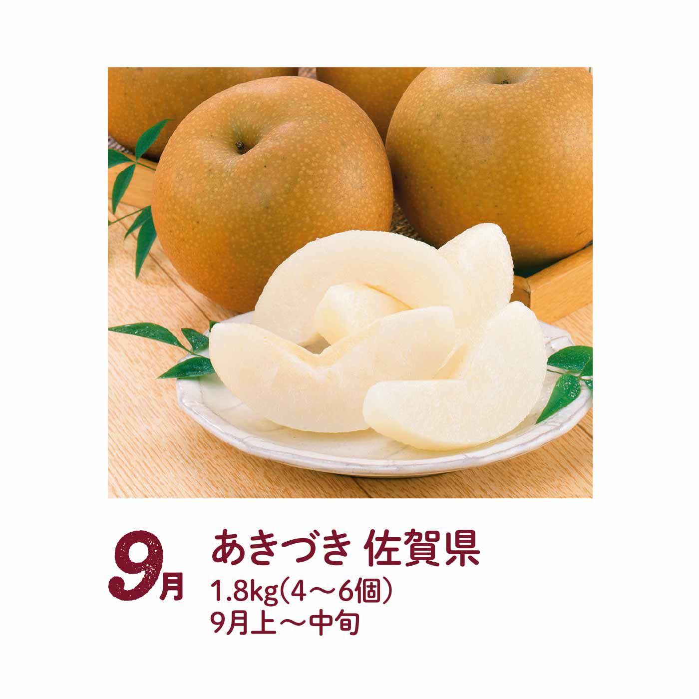 FP産地直送マルシェ|【予約限定・締切7月6日】甘み滴るたっぷり果汁がのどを潤す 品種でめぐる梨の食べ比べ4ヵ月コース