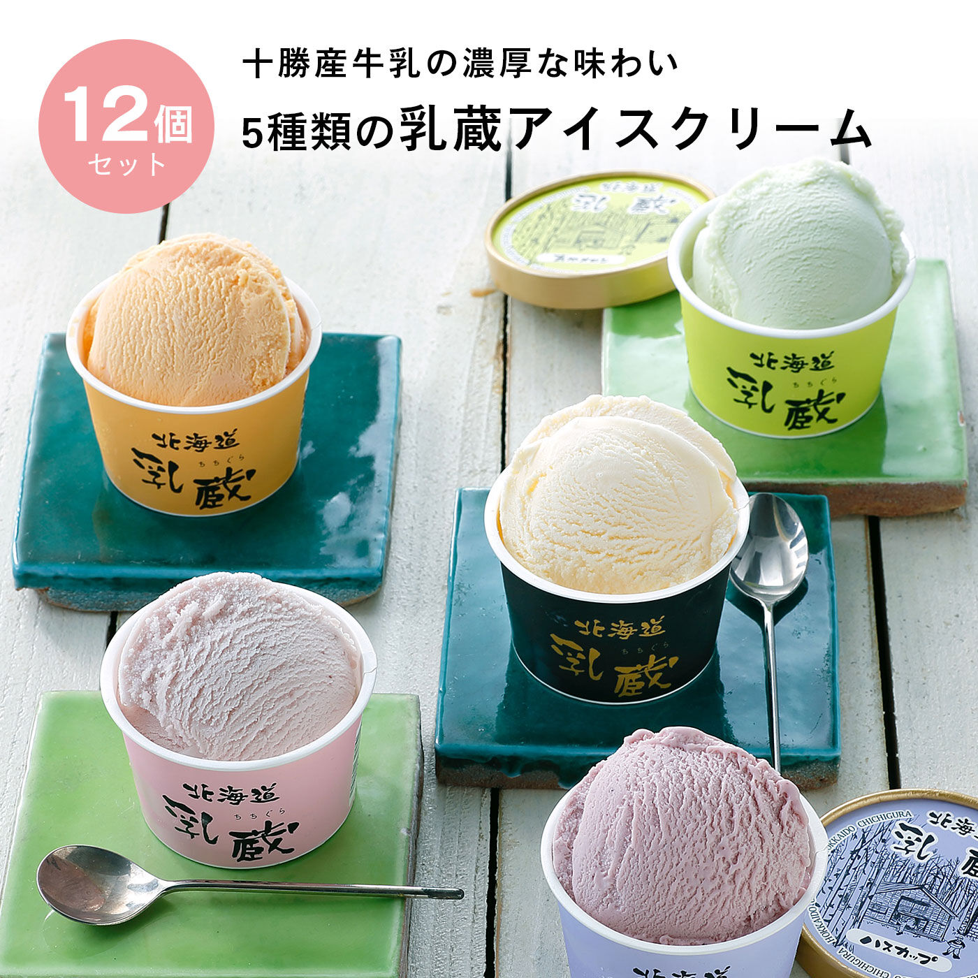 FP産地直送マルシェ|北海道乳蔵アイスクリーム（プレミアムバニラ入り）１２個